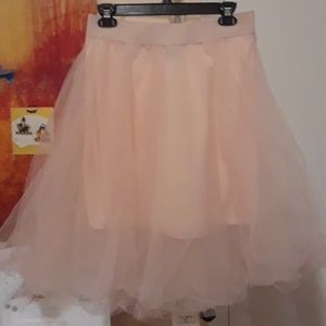 The skirt (tutu) and matching shirt set
